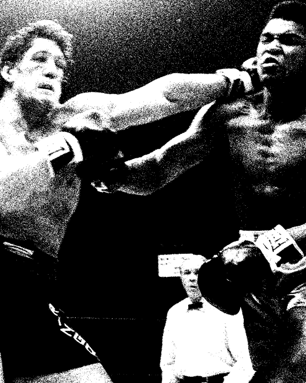 Producto - RINGO VS ALI - 1