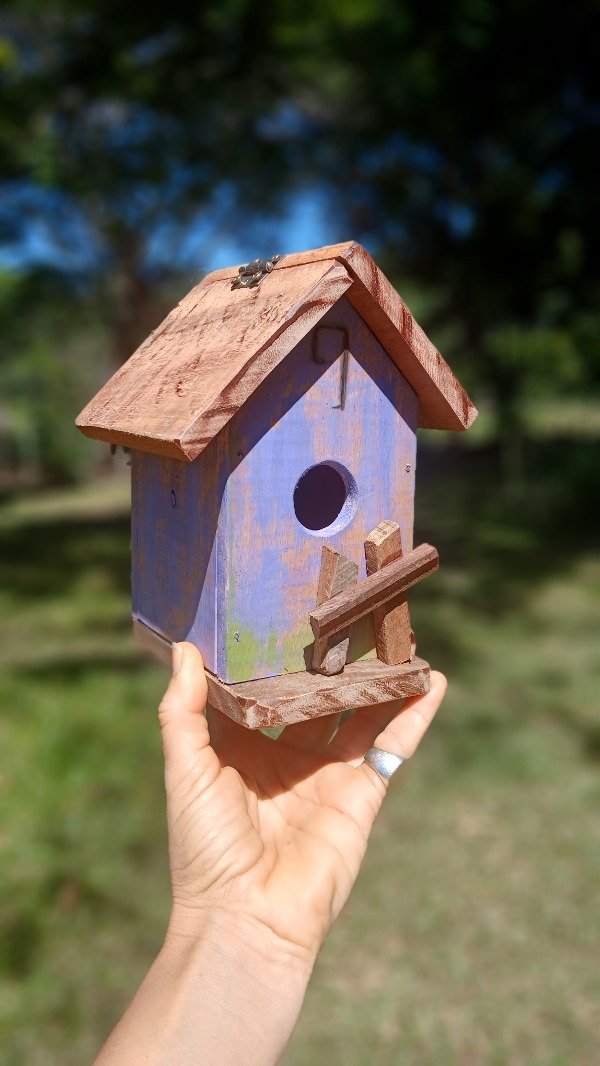 Producto - Casita charo lila