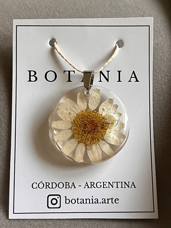 Producto - Margarita 10 - 0