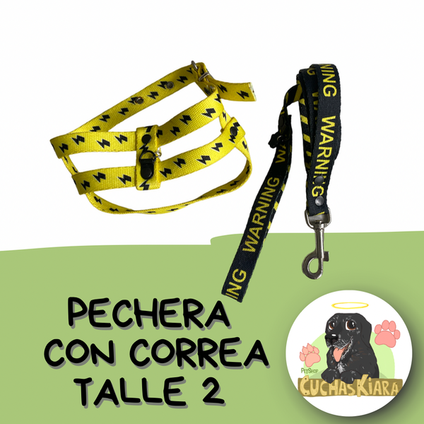 Producto - Pechera y Correa Talle 2
