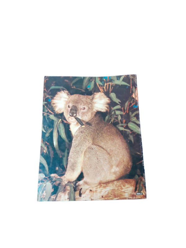 Miniatura de producto - 7