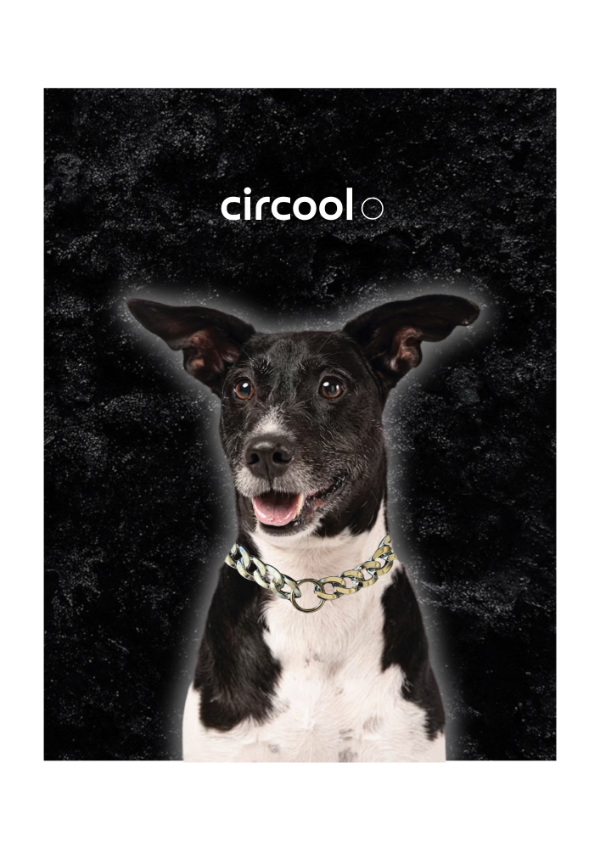 Producto - Circool