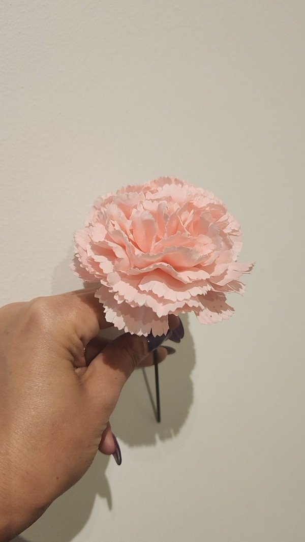 Producto - CLAVEL ESPAÑOL ROSA