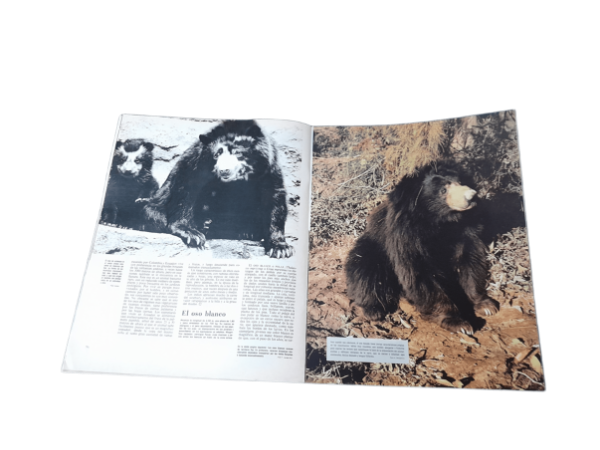 Miniatura de producto - 4