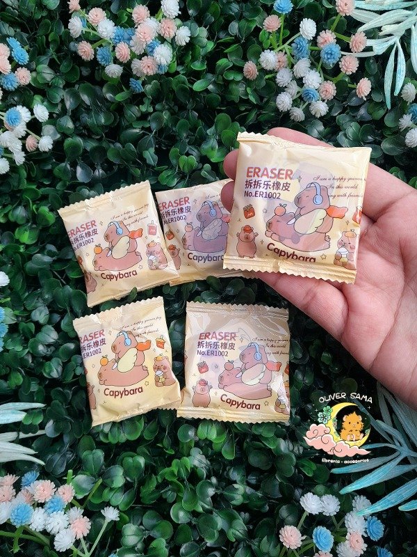 Producto - Borradores Capibara diseño sorpresa
