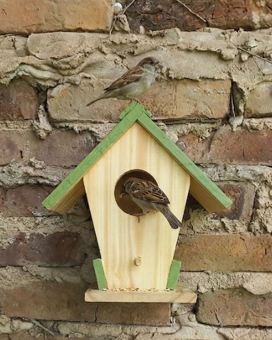 Producto - Comedero de semillas o frutas para instalar en pared