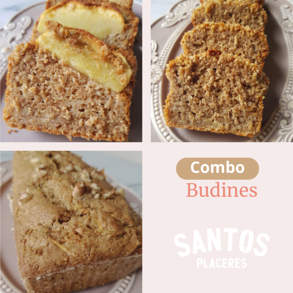 Producto - Combo Budines