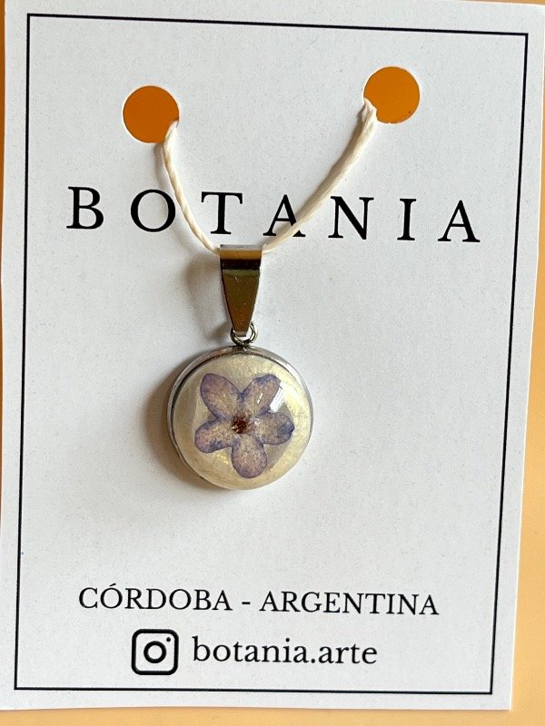 Producto - No me olvides 3