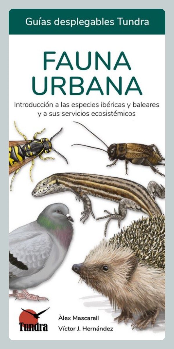Producto - Mascarell: Fauna Urbana