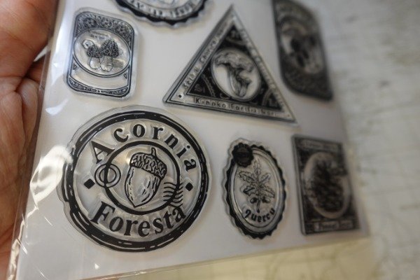 Producto - Bosque - Clear Stamp