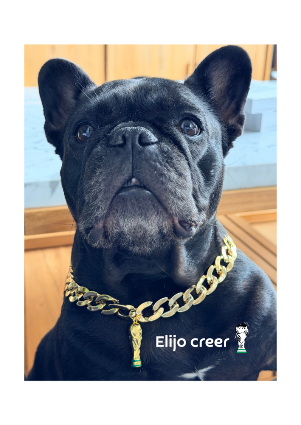 Producto - Elijo Creer Dorado