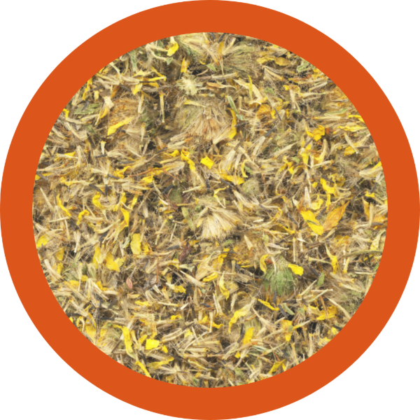 Producto - Árnica Flores Uso cosmético 25 gr