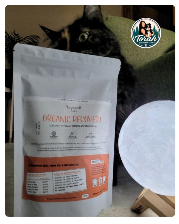 Producto - Organic Recovery