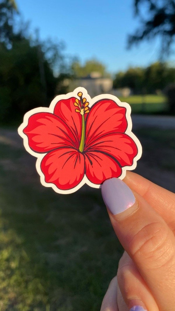 Producto - Flor de Hibisco