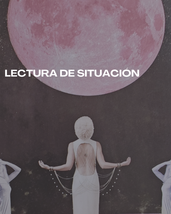 Producto - Lectura de situación