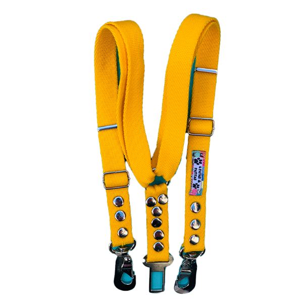 Producto - Cinturón doble para mascotas de más de 30 kg.Viajá tranquilo con tu perro.