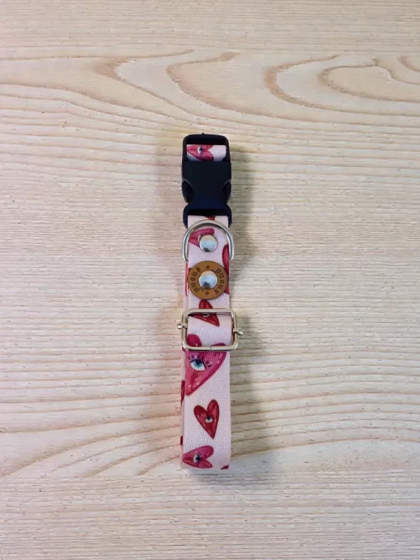 Producto - Collar regulable