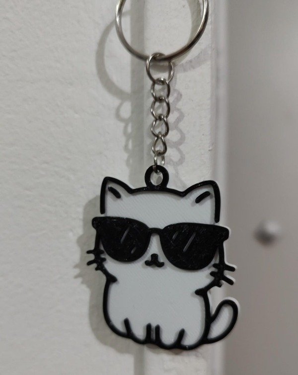 Producto - Llavero Gato con Gafas