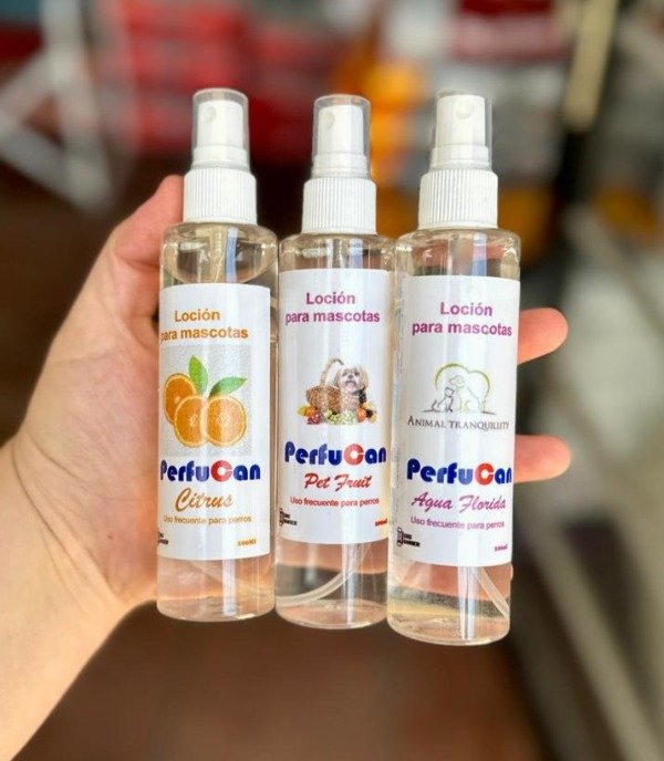 Producto - Perfume PerfuCan