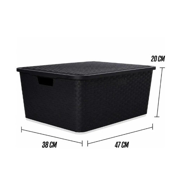 Producto - CAJA ORGANIZADORA SIMIL RATAN - 1