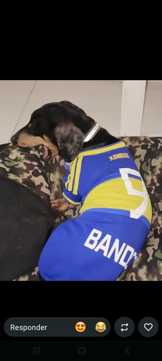 Producto - Camiseta Boca Juniors 2026-2027 - 1