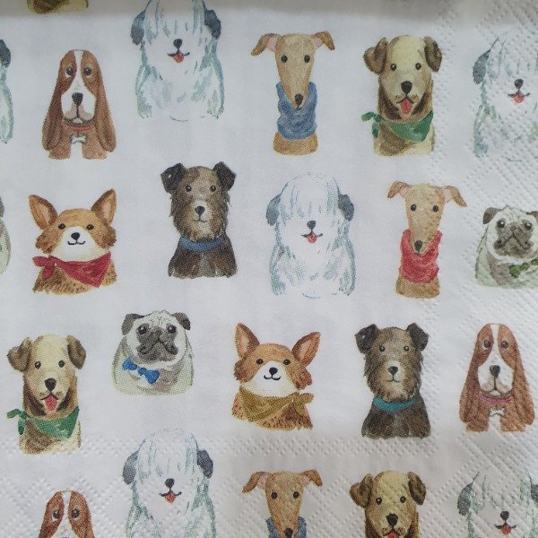 Producto - Perritos