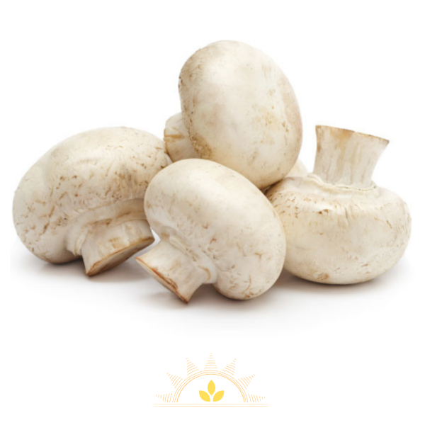 Producto - Champigñones ( a confirmar)