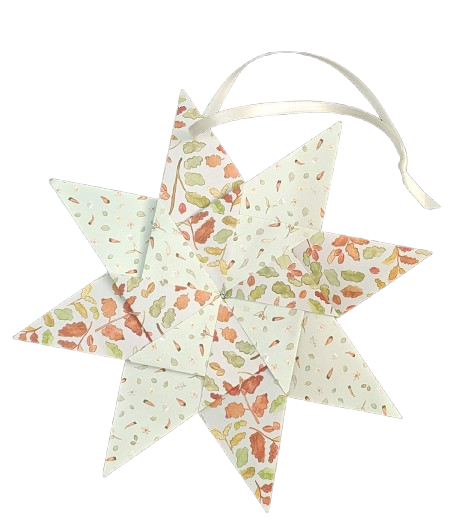 Producto - Estrella gigante star