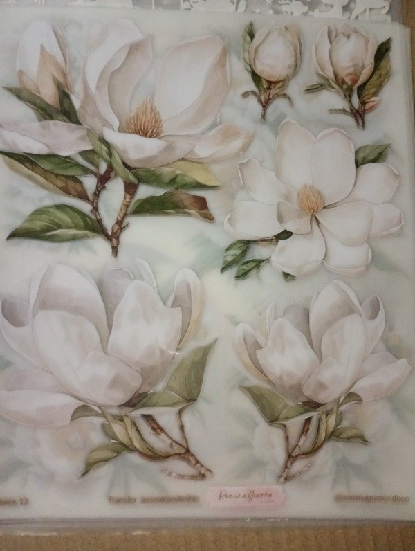 Producto - Flores (trece) RG