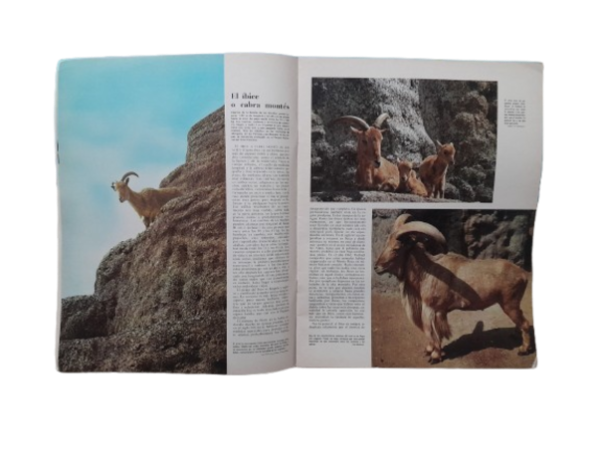 Miniatura de producto - 5