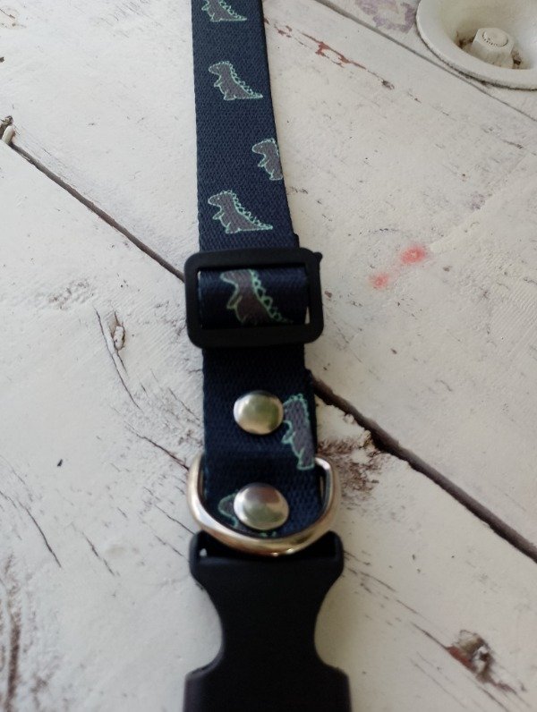 Producto - Collar Dino - 3