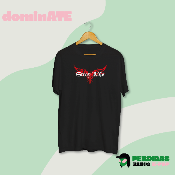 Producto - Remera Stray Kids