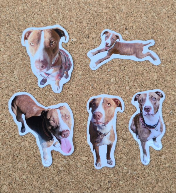 Producto - Pack de 5 stickers personalizados