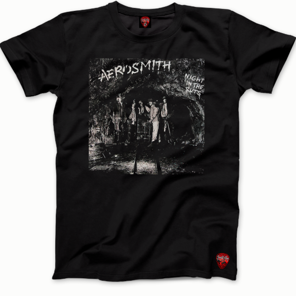 Producto - Remera - Aerosmith - Dtf - 03