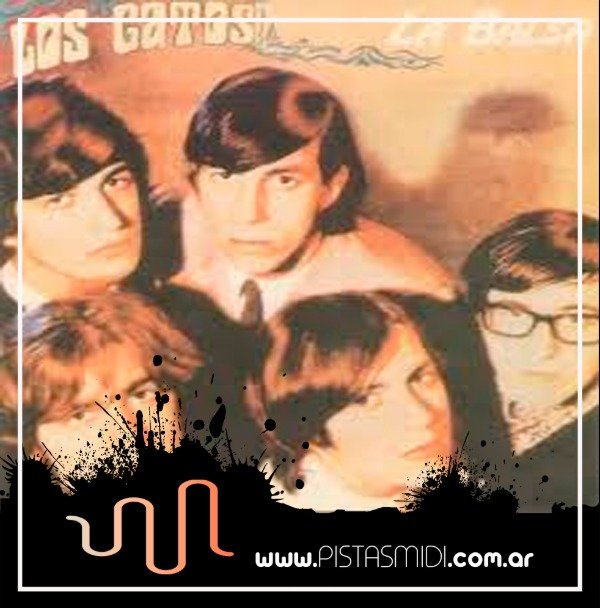 Producto - Los Gatos - La balsa