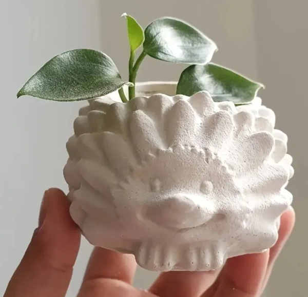 Producto - Molde maceta erizo