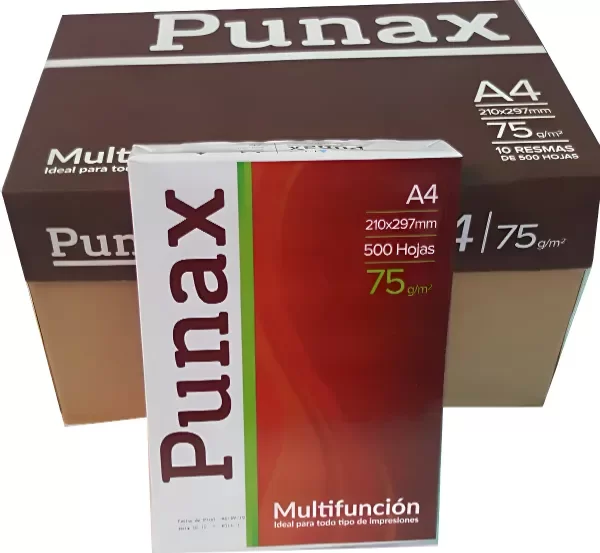 Producto - LEDESMA PUNAX A4 21x29.7 75grs X 10 UNIDADES (CAJA)