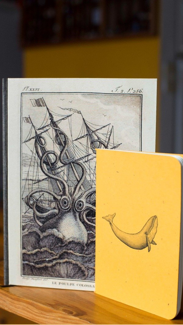 Producto - Cuaderno Pulpo Verne