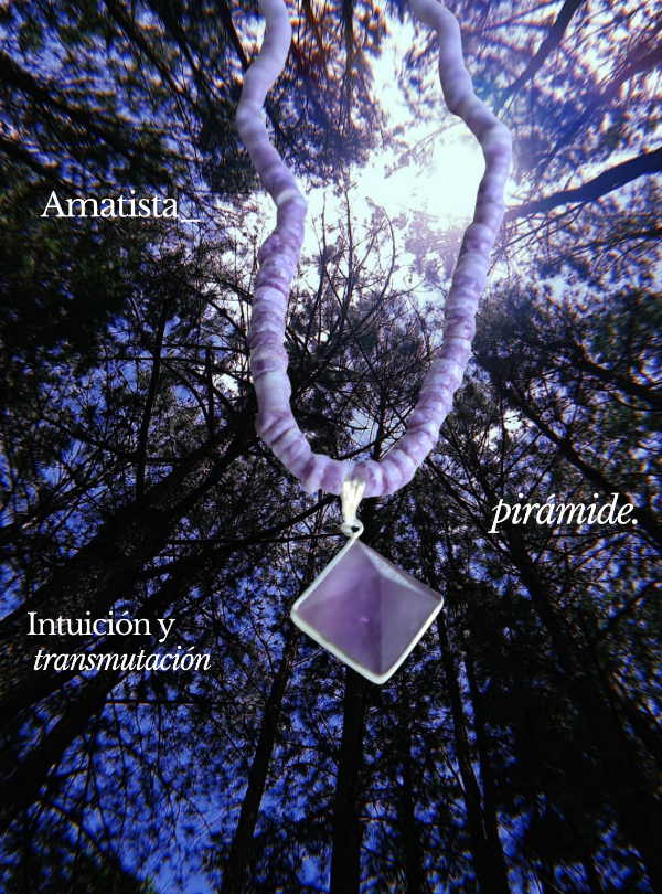 Producto - COLLAR transformación