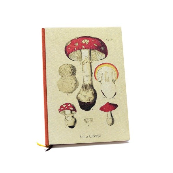 Producto - Falsa oronja