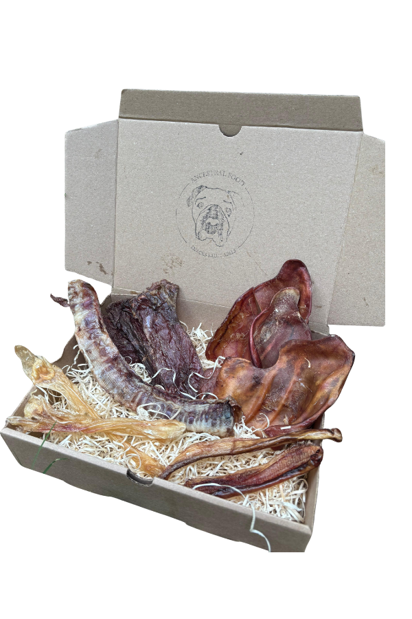 Producto - Box experiencia mordedora