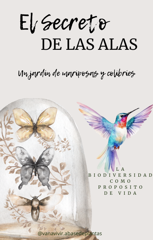 Producto - JARDIN DE MARIPOSAS Y COLIBRIES, PLANTAS NATIVAS.