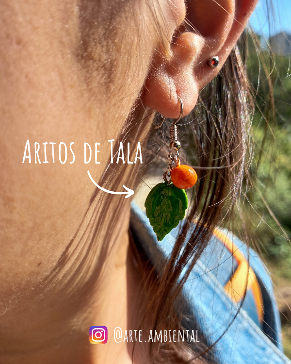 Producto - Aritos de Tala
