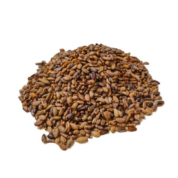 Producto - Cardo mariano