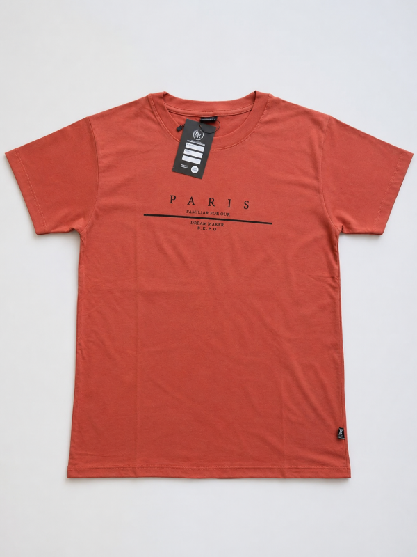 Producto - Remera estampada - 2