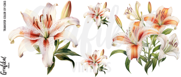 Producto - TransferColorUV C084