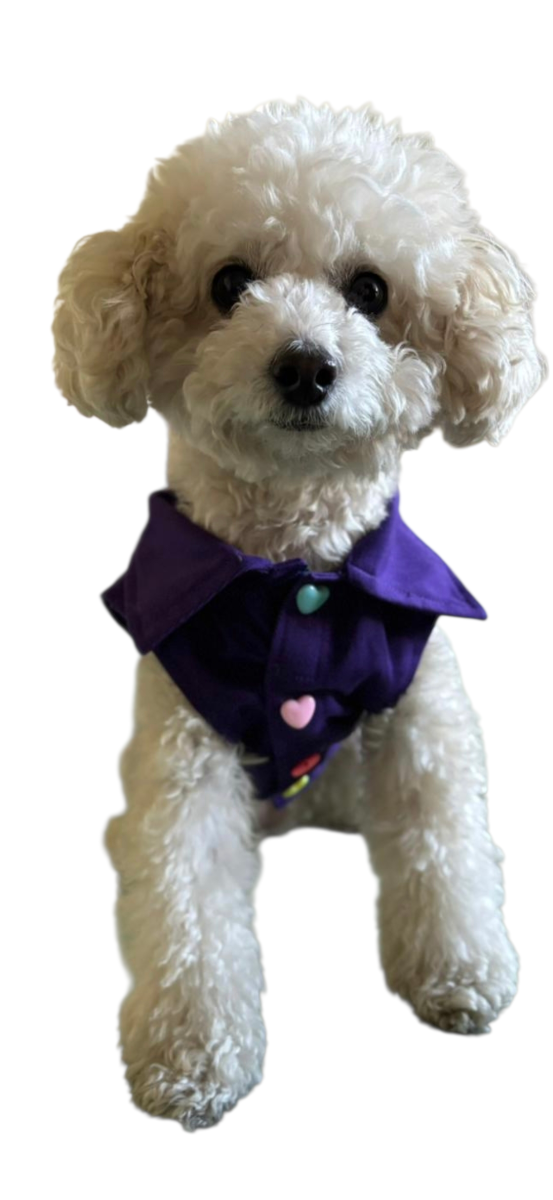 Miniatura de producto - 8