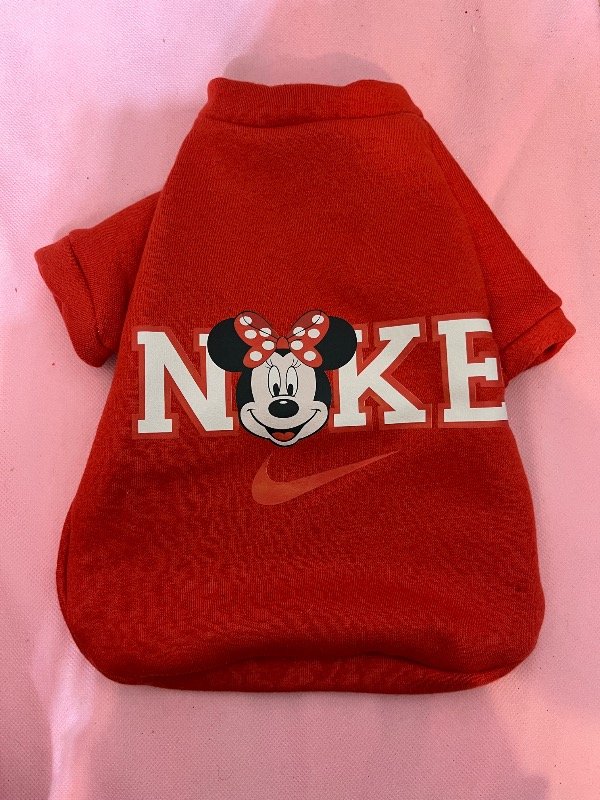 Producto - Buzo Mickey y Minnie - 1