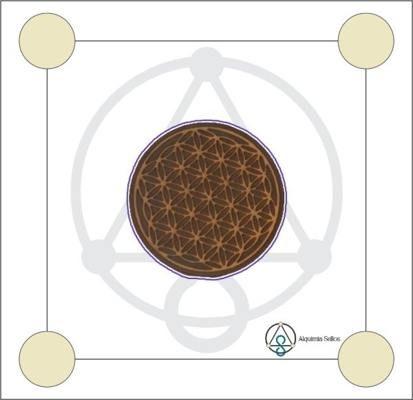 Producto - Namaste 007