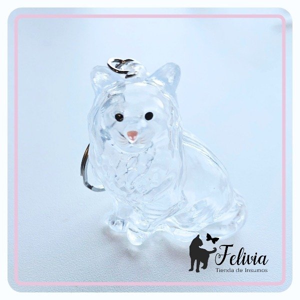 Producto - Llavero Gatito para rellenar transparente. Mod. 3 - 0